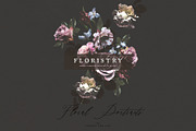 Digital Floristry - Floral Portraits, an Illustration by Create The Cut (Thumbnail 6 of 10)