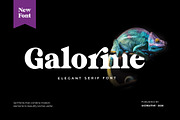 Galorine Serif Font, a Serif Font by UICreative (Thumbnail 1 of 6)