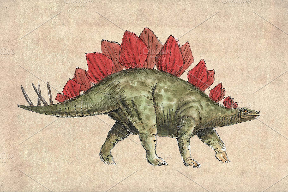 Dinosaurs Watercolour Pack Clipart, an Illustration by Doggy Days (Photo 5 of 6)