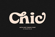 Mist Tropic - Tropic Serif Font, a Serif Font by Prioritype Co (Thumbnail 4 of 10)