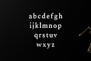 Ireene Serif 3 Font Family Pack, a Serif Font by Creativetacos (Thumbnail 3 of 6)