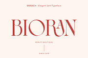 BRANCH - Elegant Serif Typeface, a Serif Font by zeenesia (Thumbnail 12 of 16)