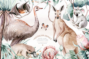 Australian animals watercolor set, an Animal Illustration by Peace ART