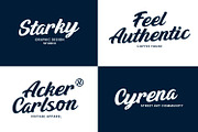 Malema Handwritten Script Font, a Script Font by Maulana Creative (Thumbnail 6 of 10)
