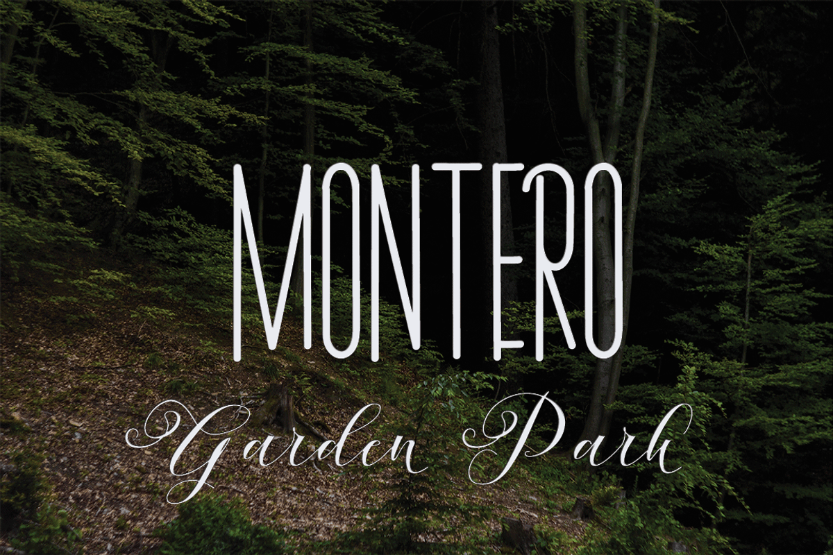 Andeglei, a Script Font by Letter-P (Photo 10 of 17)