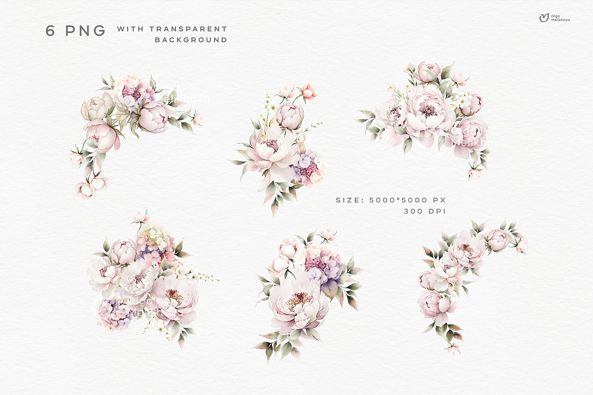 Pink Bloom, Watercolor peonies, an Object Illustration by ollalya (Photo 3 of 7)