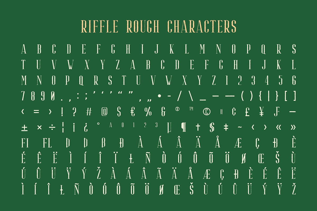 Riffle Rough, a Serif Font by Craft Supply Co. (Photo 8 of 8)