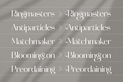 Molgeth - Aesthetic Sans Serif, a Sans Serif Font by Variatype (Thumbnail 2 of 15)