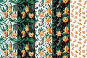 Merry Christmas Watercolor Set, a Decorative Illustration by Olga Alexeenko (Thumbnail 5 of 10)