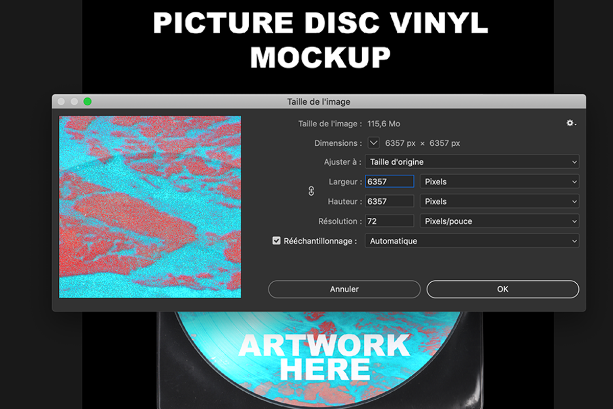 Picture Disc Vinyl MockUp, a Product Mockup by Melvin Nicolas Art (Photo 2 of 7)