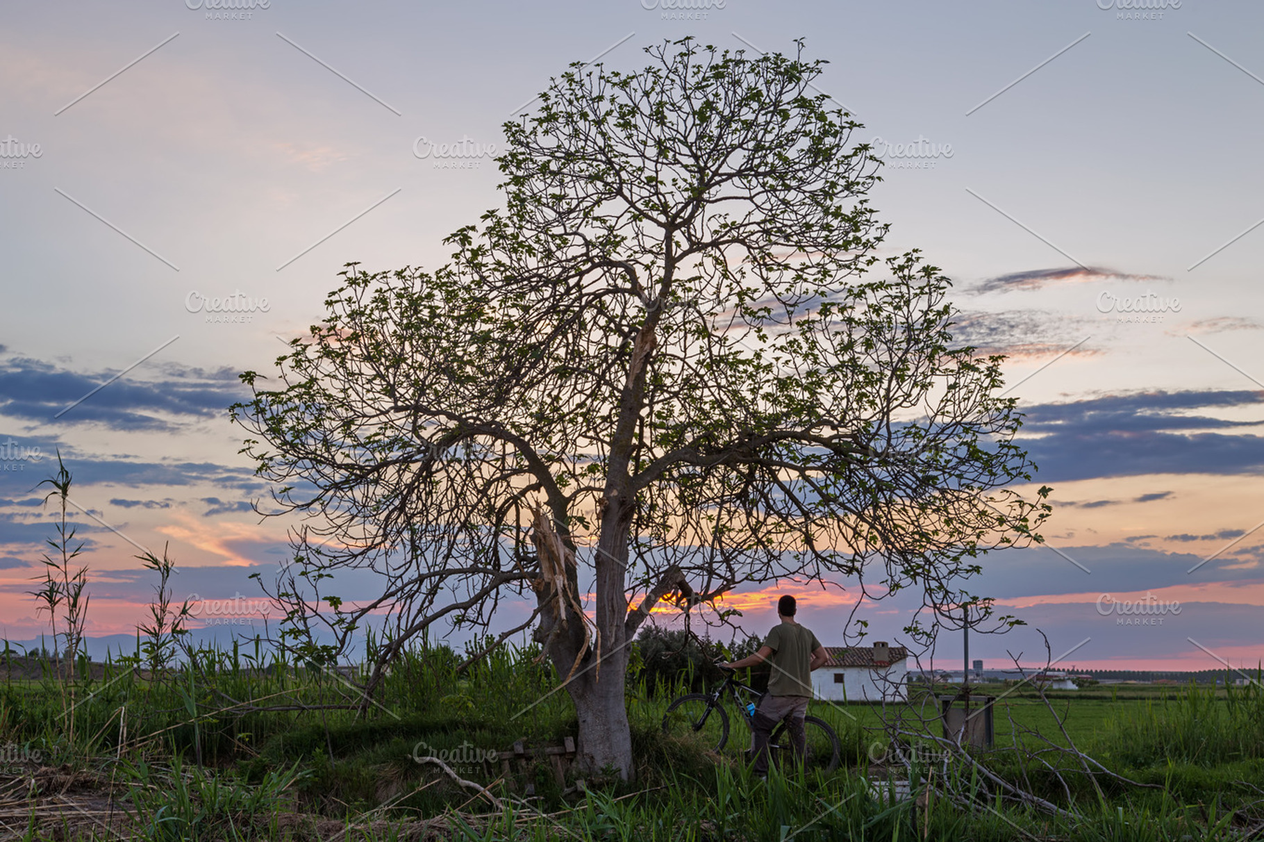 man with tree with his bike, a Person Photo by robcar