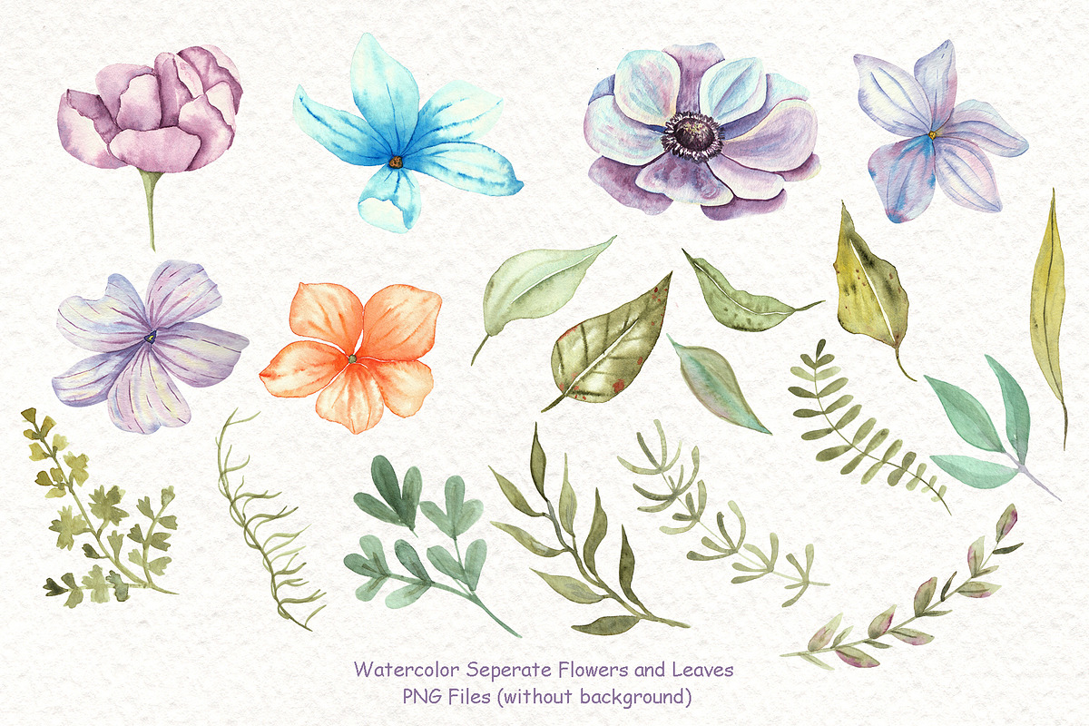 Watercolor Cats and Flowers, an Animal Illustration by TanataDesign (Photo 3 of 9)