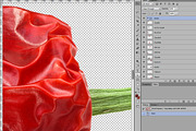 Dried Peppers, a Food & Drink Photo by Hortimages (Thumbnail 2 of 2)