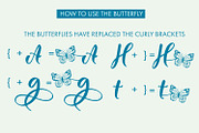 Scotch Argus Butterfly Script Font, a Handwritten Font by Freeling Design House (Thumbnail 4 of 6)