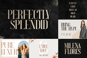 Bestseller Font Collection Vol2