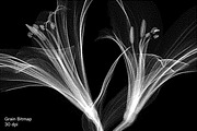 04: Bitmap Machine for Photoshop, an Action Add-On by Eugene Tantsurin (Thumbnail 8 of 12)