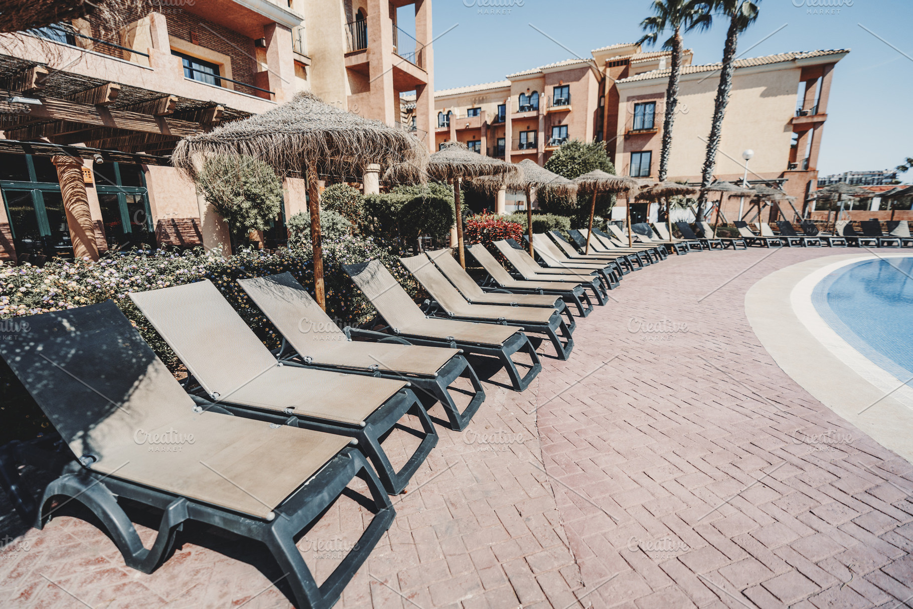 Poolside loungers at sunny resort, a Sports & Recreation Photo by SkyNext