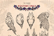 Wintery Owls, an Animal Illustration by Ink Stories (Thumbnail 4 of 26)