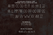Seriously, a Serif Font by FreshTypeINK (Thumbnail 5 of 8)