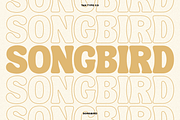 TAN - SONGBIRD, a Font by TanType (Thumbnail 16 of 16)