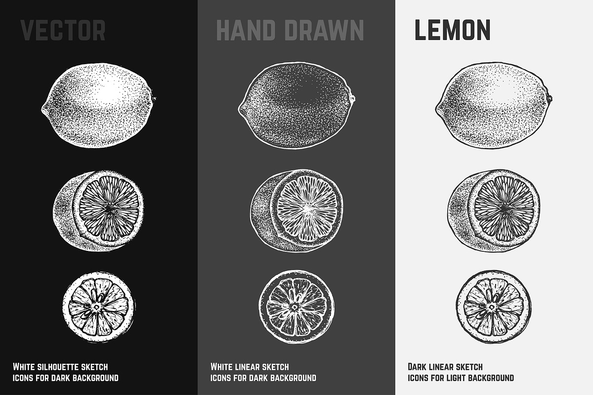 Fruits - hand drawn vector set, a Food Illustration by Margo Miller (Photo 15 of 25)