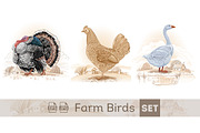 Farm birds set, an Animal Illustration by Countryside life (Thumbnail 1 of 12)