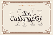 SS Changer - Script Typeface, a Script Font by syabab studio (Thumbnail 2 of 6)