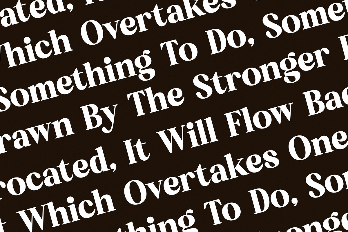 Bredga Decorative Serif Font, a Serif Font by Letterena Studios (Photo 9 of 15)