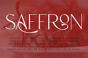 CARNIVAL Elegant Serif Font, a Serif Font by Anna Zakharchenko (Thumbnail 8 of 14)