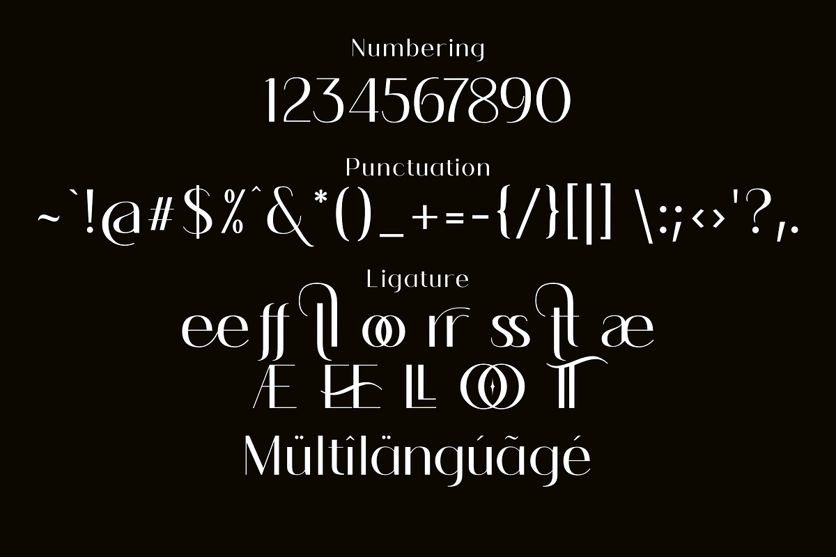 Galleria-An Unique Variable sans, a Sans Serif Font by zamjumps (Photo 9 of 10)
