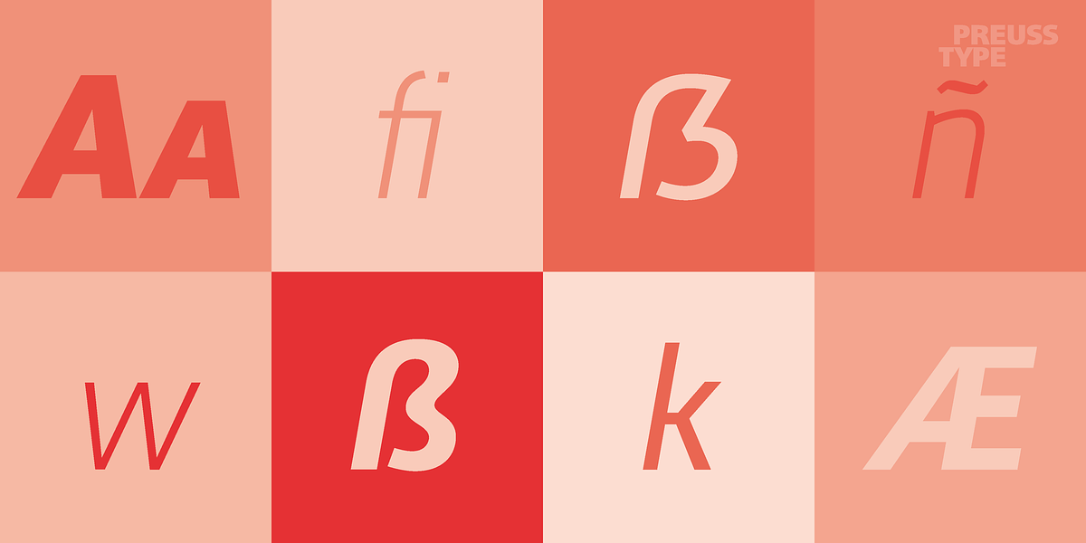 Lavina Sans PRO, a Sans Serif Font by preussTYPE (Photo 9 of 9)