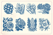 Vintage Flower Illustrations, a Decorative Illustration by Mr Vintage (Thumbnail 3 of 13)