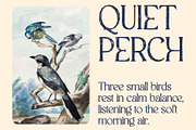 CS Anthea Stamp, a Serif Font by Craft Supply Co. (Thumbnail 5 of 7)