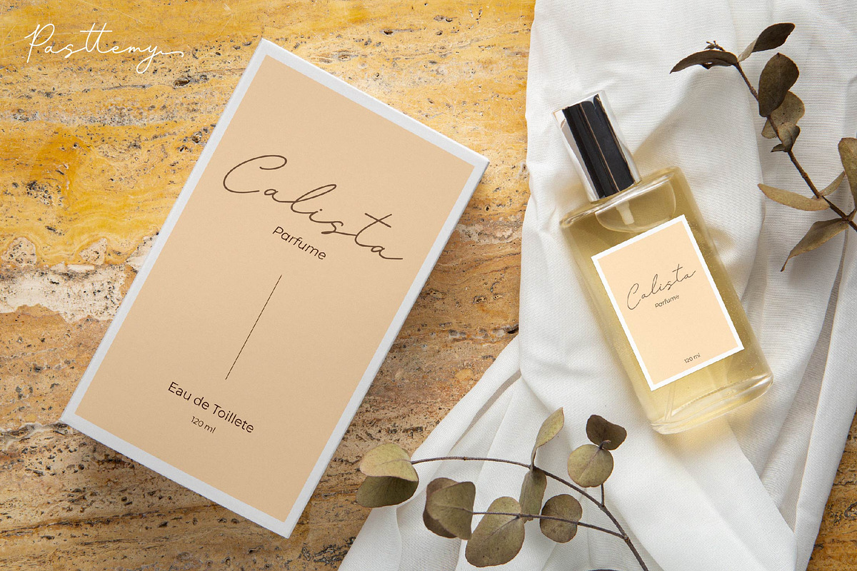 Pasttemy | Monoline Stylish Script, a Script Font by Denustudios (Photo 3 of 15)