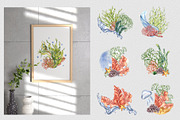 Sea plants watercolor collection, an Illustration by Kate Lanbina (Thumbnail 5 of 18)