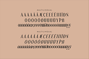 Blafhy Glibs A Modern Serif Font, a Serif Font by Storytype Studio (Thumbnail 13 of 15)