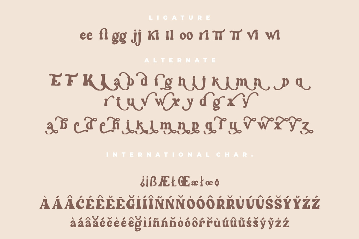 Wintter Modern Chic Serif, a Serif Font by Creatype Studio (Photo 8 of 9)