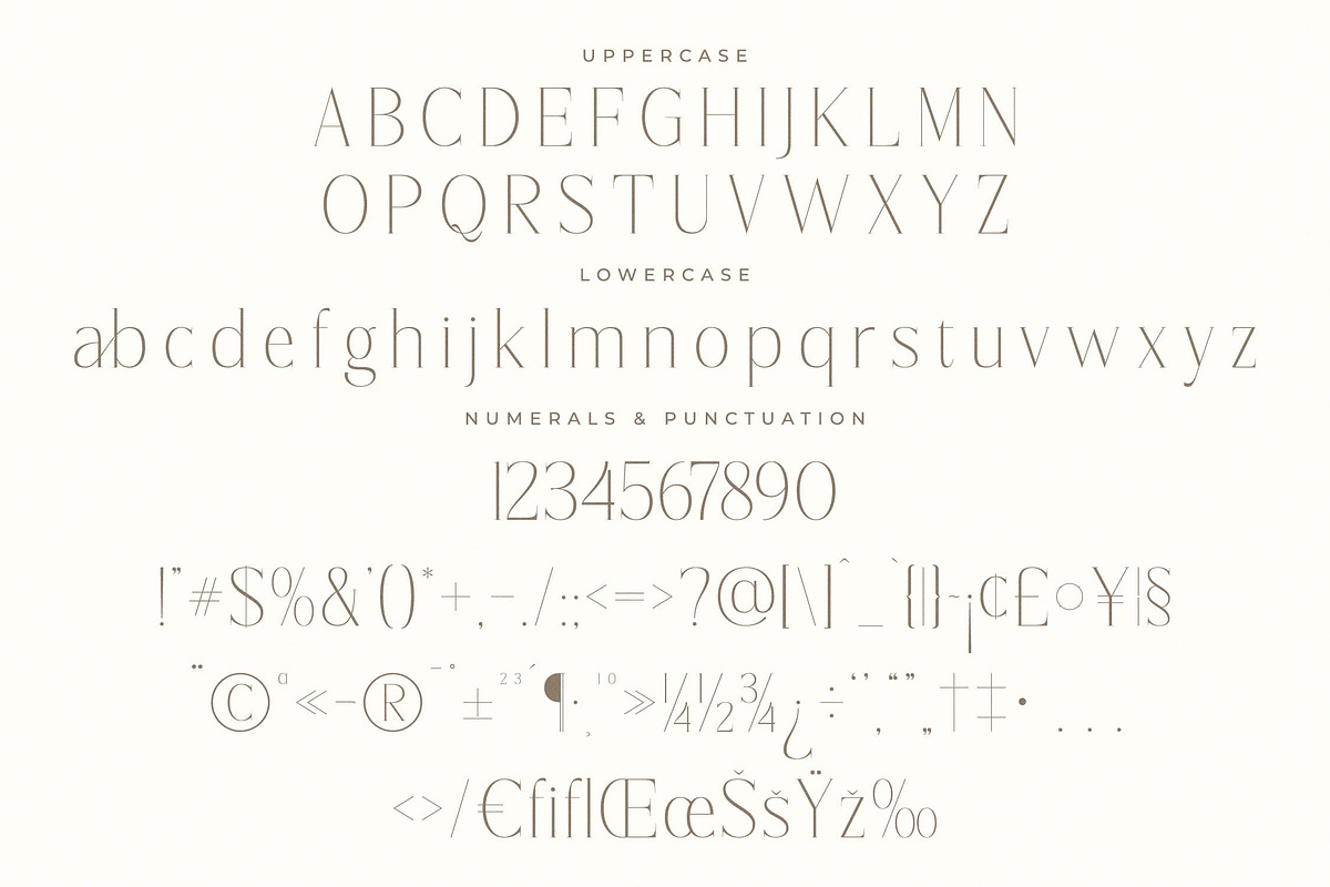 Lisandra A Modern Font Serif, a Serif Font by Storytype Studio (Photo 13 of 15)