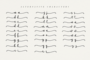 Downtown, a Script Font by endita (Thumbnail 11 of 12)