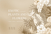 Tropical florals collection, an Illustration by adehoidar (Thumbnail 1 of 10)