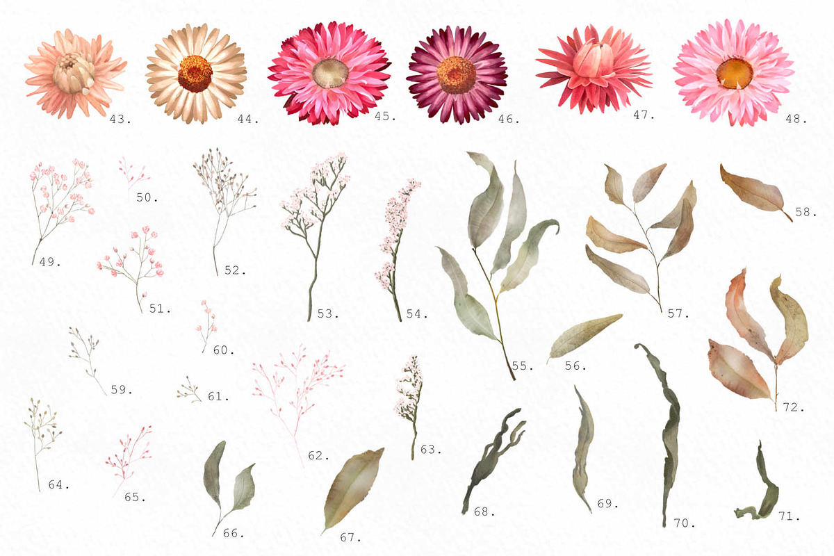 Big romantic dried flower set, a Texture Illustration by marie dricot (Photo 11 of 18)