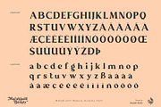 Marshland Beauty, a Font by Aluyeah Studio (Thumbnail 12 of 15)