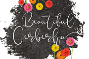 Vapetla, a Script Font by MissinkLab Studio (Thumbnail 5 of 6)