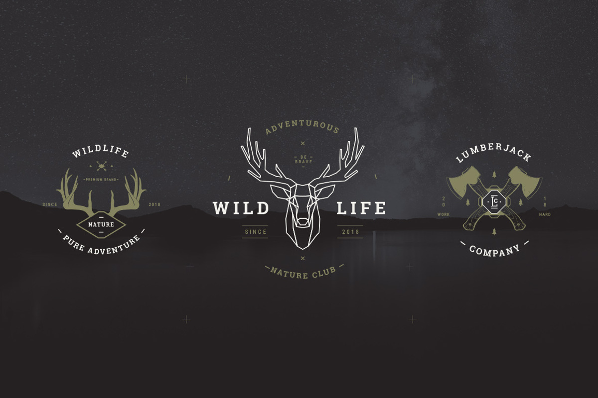 Vintage Badges vol 1, a Branding & Logo Template by blauananas (Photo 6 of 9)