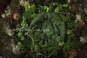Newborn Photography Digital Backdrop, a Layer Style Add-On by Sweet Bambini Design (Thumbnail 4 of 4)
