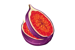 Fig Fruit Cut with Thin Skin and, a Food Illustration by the8monkey