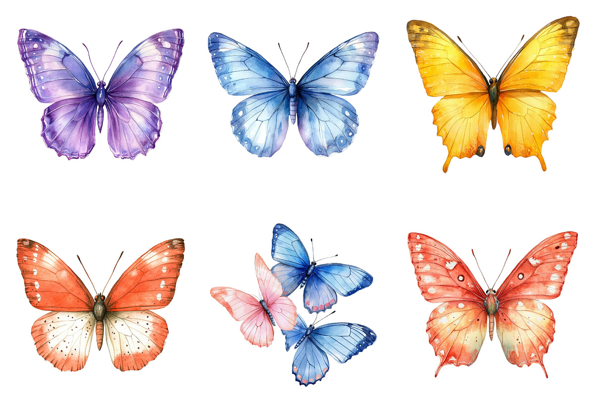 Watercolor Cute Butterfly Clipart, an Illustration by SinaCreation (Photo 2 of 5)