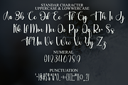 Swanky Farmhouse, a Handwritten Font by FreshTypeINK (Thumbnail 4 of 8)