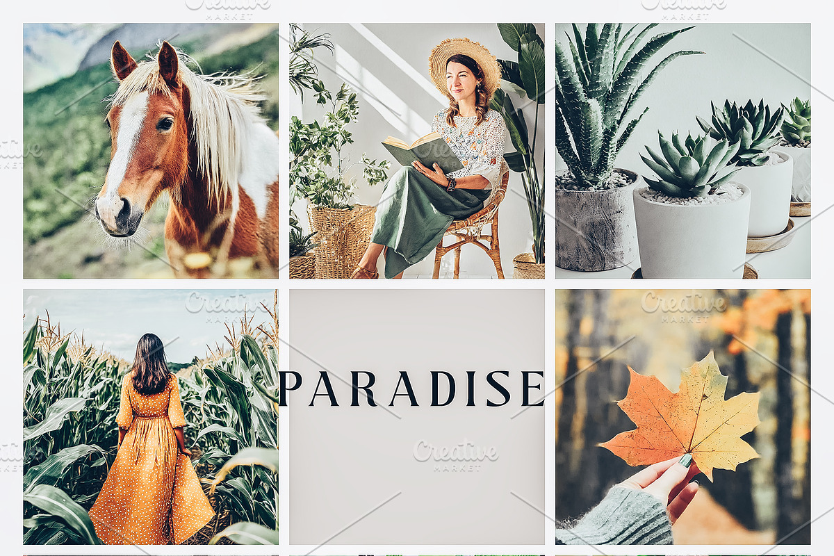 PARADISE  5 MOBILE LIGHTROOM PRESET, an Action Add-On by LOTA_CREATIONS (Photo 3 of 10)