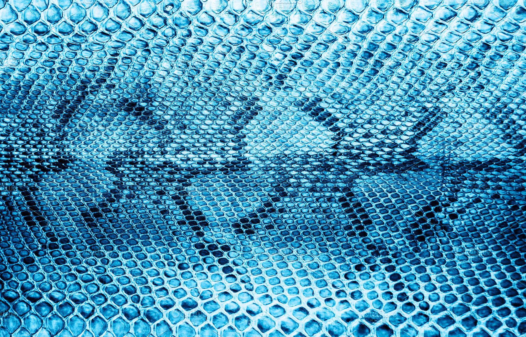 Snake skin background featuring fashion, material, and blue, an Abstract Photo by Olena Rudo